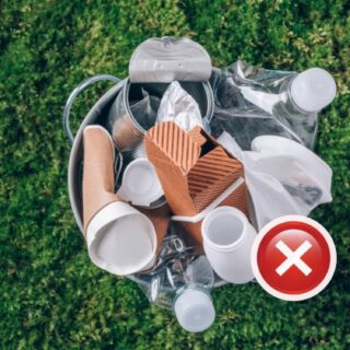 From Plastic-Free to Plant-Friendly Ultimate Guide to Eco-Friendly Swaps