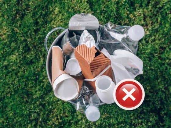 From Plastic-Free to Plant-Friendly Ultimate Guide to Eco-Friendly Swaps