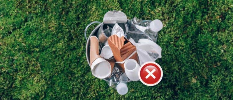 From Plastic-Free to Plant-Friendly Ultimate Guide to Eco-Friendly Swaps