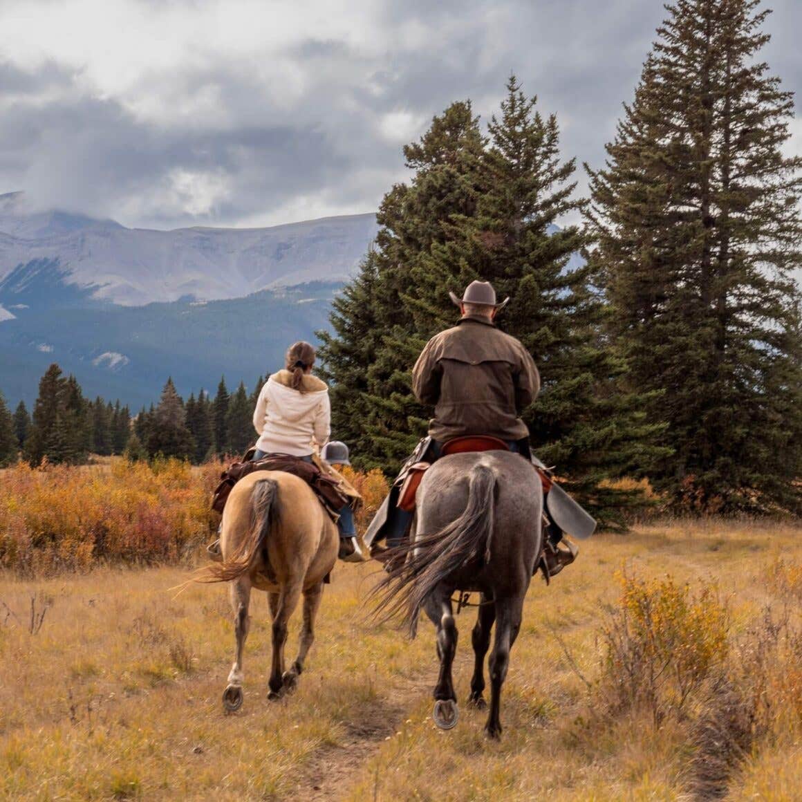 Horseback Riding in Alberta